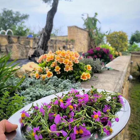 Koulouridi Гостевой дом